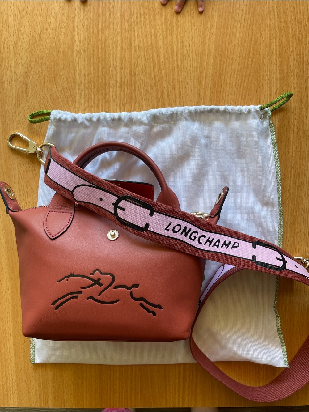 Le Pliage Jockey Extra Small Leather Crossbody - Picture 13 of 16